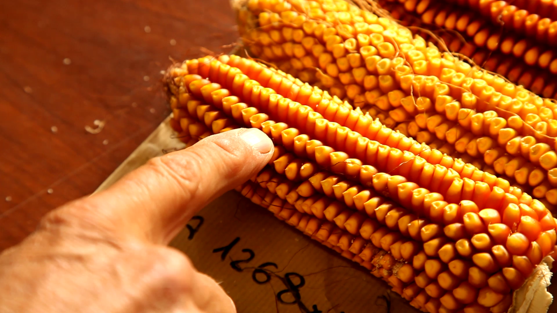 Organic Plant Breeding: Module 1