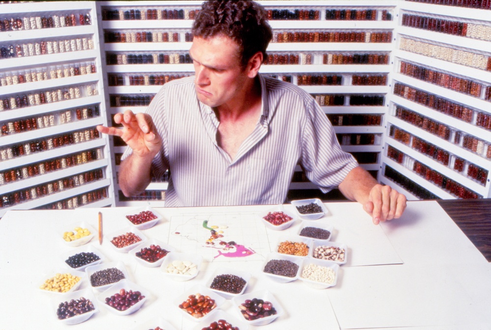 Dr. Debouck studying beans in petri dishes. 