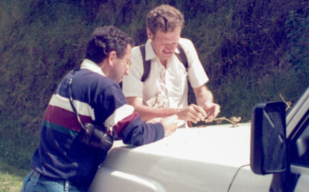 Dr. Debouck with another man analysing wild beans. 