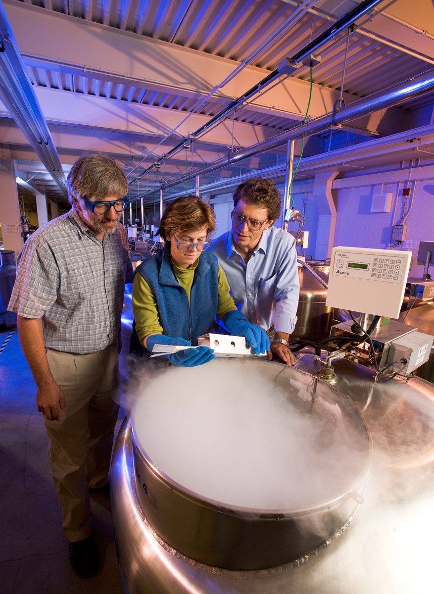 Dr. Ellis and colleagues viewing seeds stored via cryopreservation. 