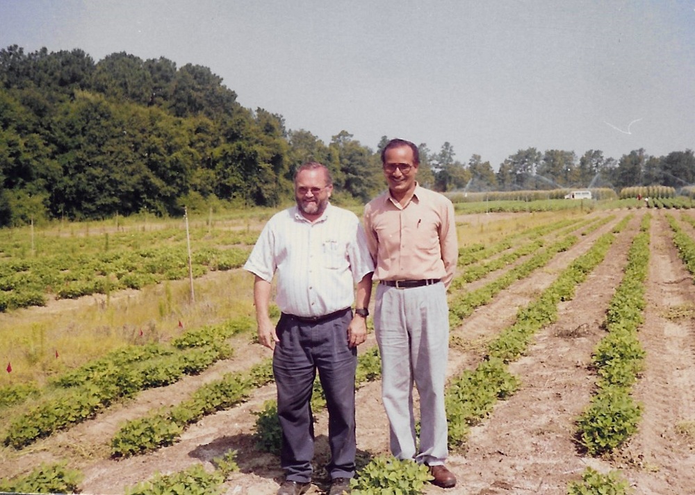 Dr. Upadhyaya standing with another man in a field of groundnuts.
