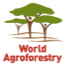 World Agroforestry Center