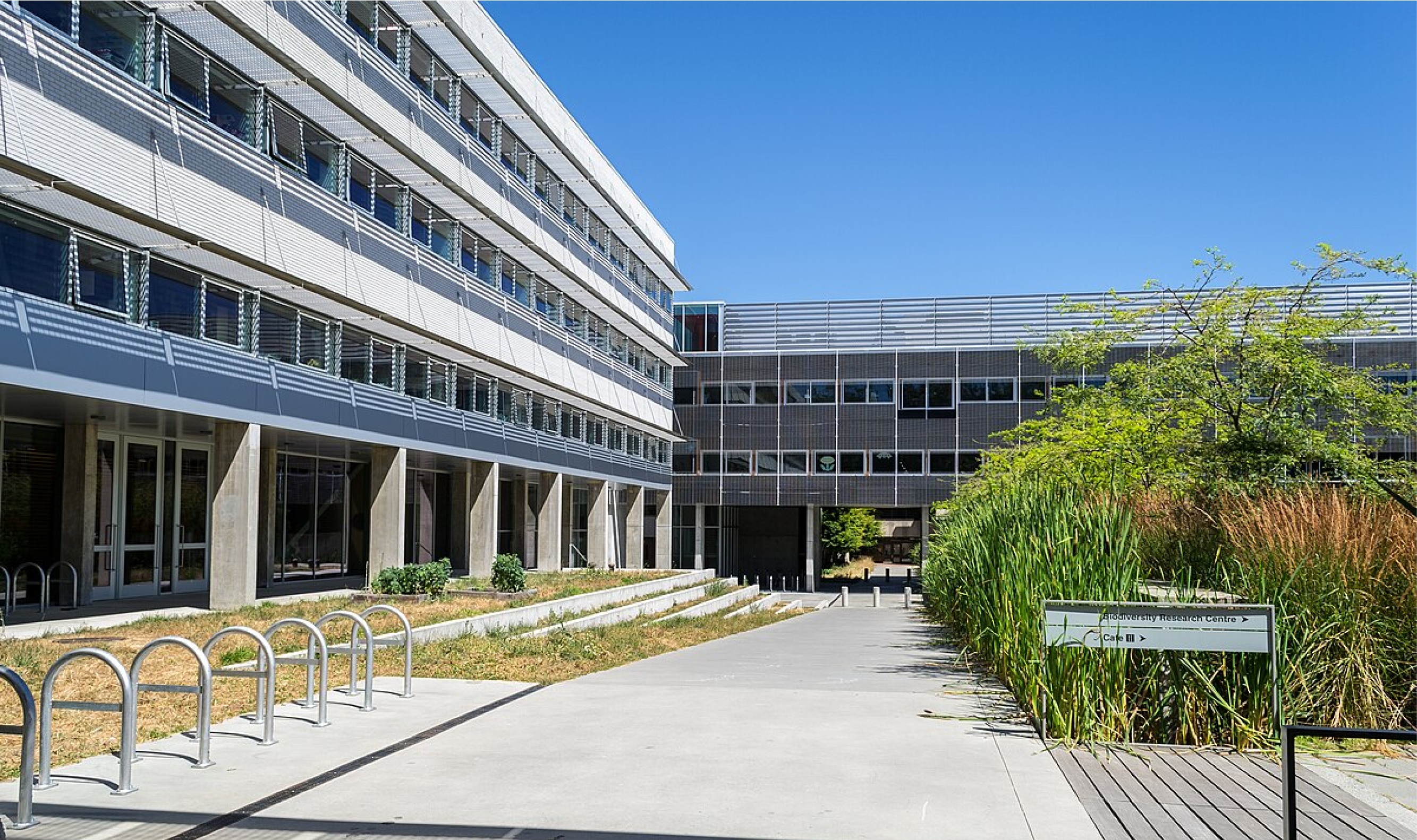 Brite Postdoctoral Fellowship