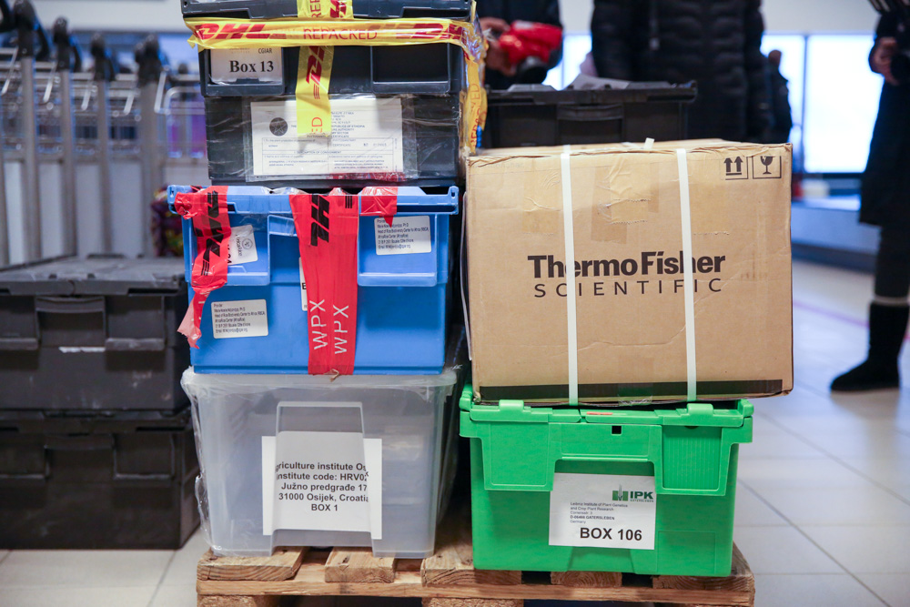 Boxes of seeds at airport