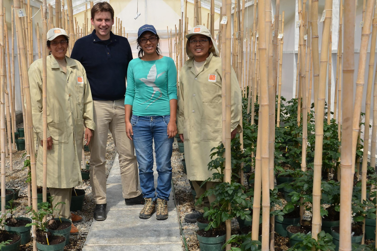 The CIP Blog highlights the CWR Project: “One of the most exciting things about the sweetpotato project is that wild relatives have never been used in pre- breeding for any purposes,” says Crop Trust scientist Hannes Dempewolf.