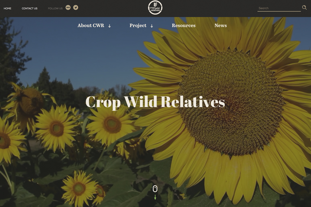 The Crop Wild Relatives Project launches its enhanced, updated website: http://www.cwrdiversity.org 