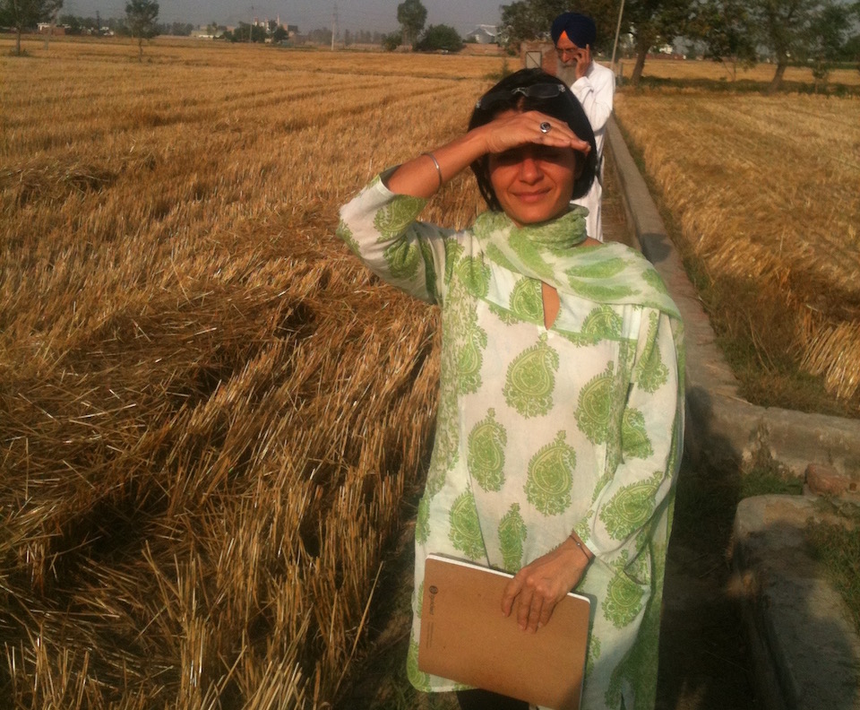 Simran Sethi interviewing wheat farmer Gyanni Singh outside of Amritsar, India. Photo credit: Simran Sethi