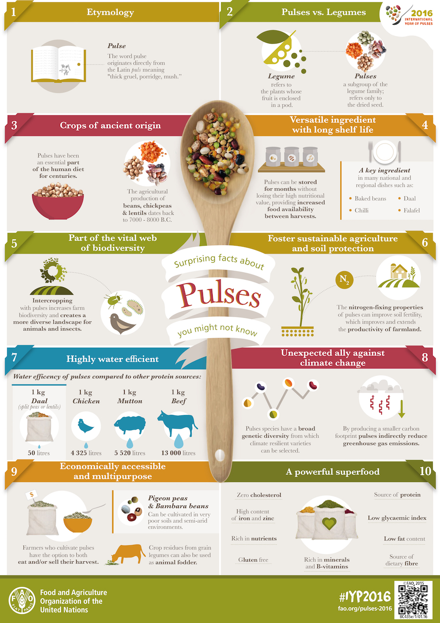Surprising facts about pulses you might not know