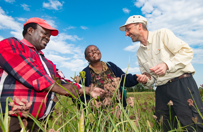 Templeton-Crop Trust project co-director Benjamin Kilian (right) with the Crop Wild Relatives project’s finger millet pre-breeding partner, Chrispus Oduori and Margaret Kubende, a farmer, in her finger millet field in Kakamega County in Western Kenya. Photo: Michael Major/Crop Trust