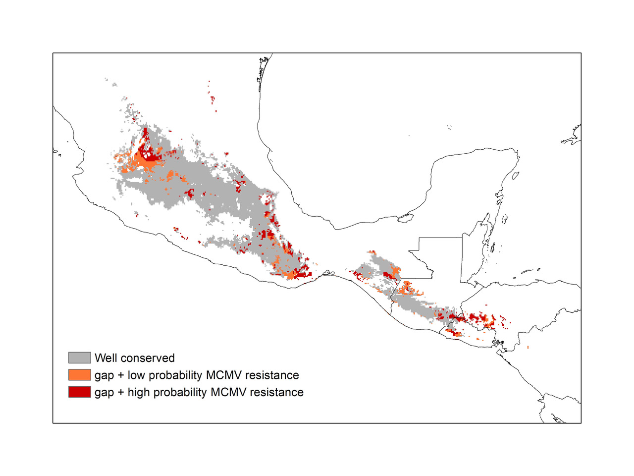 Figure 2. Overlay of predicted gaps for highland maize overlaid with probabilities of occurrence for resistance to Maize Chlorotic Mottle Virus (MCMV).