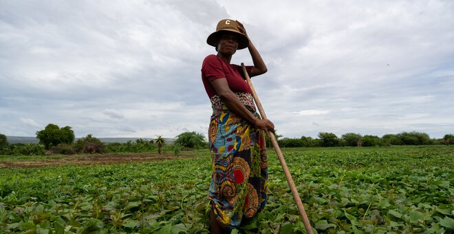 Darwin Initiative: Celebrating Sweet(potato) Success