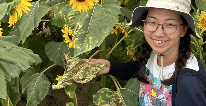 From Inner Mongolian Fields to Wild Sunflowers to the Crop Trust
